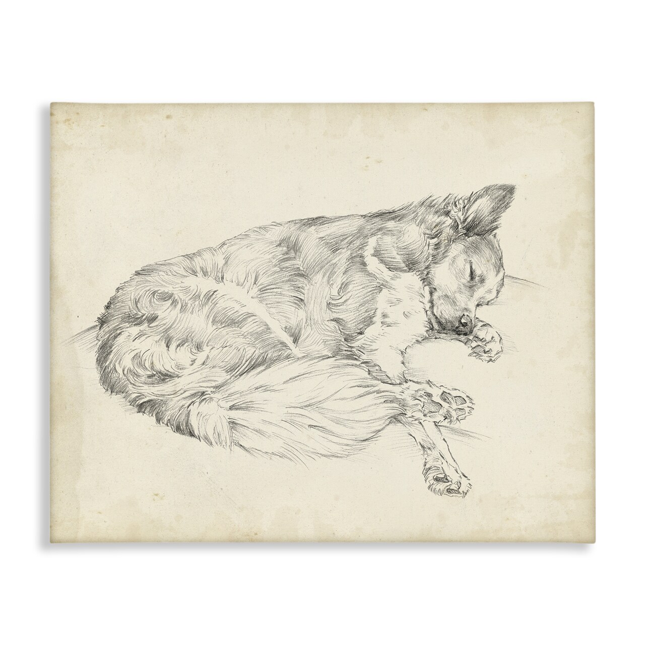 Stupell Industries Antique Dog Drawing Canvas By Ethan Harper